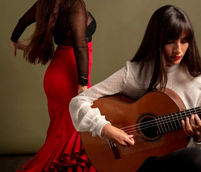 The Guitar in Flamenco