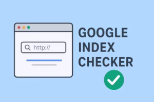 Google index checker