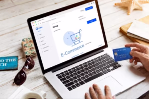 wp payments