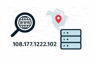 Check any website’s hosting details instantly. Get IP address, organization, city, country, HTTP/2 support, WHOIS record, and other sites sharing the same IP.
