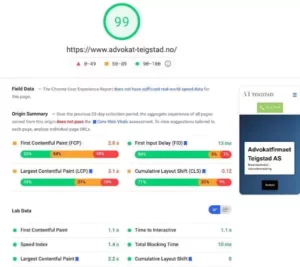 pagespeed insights